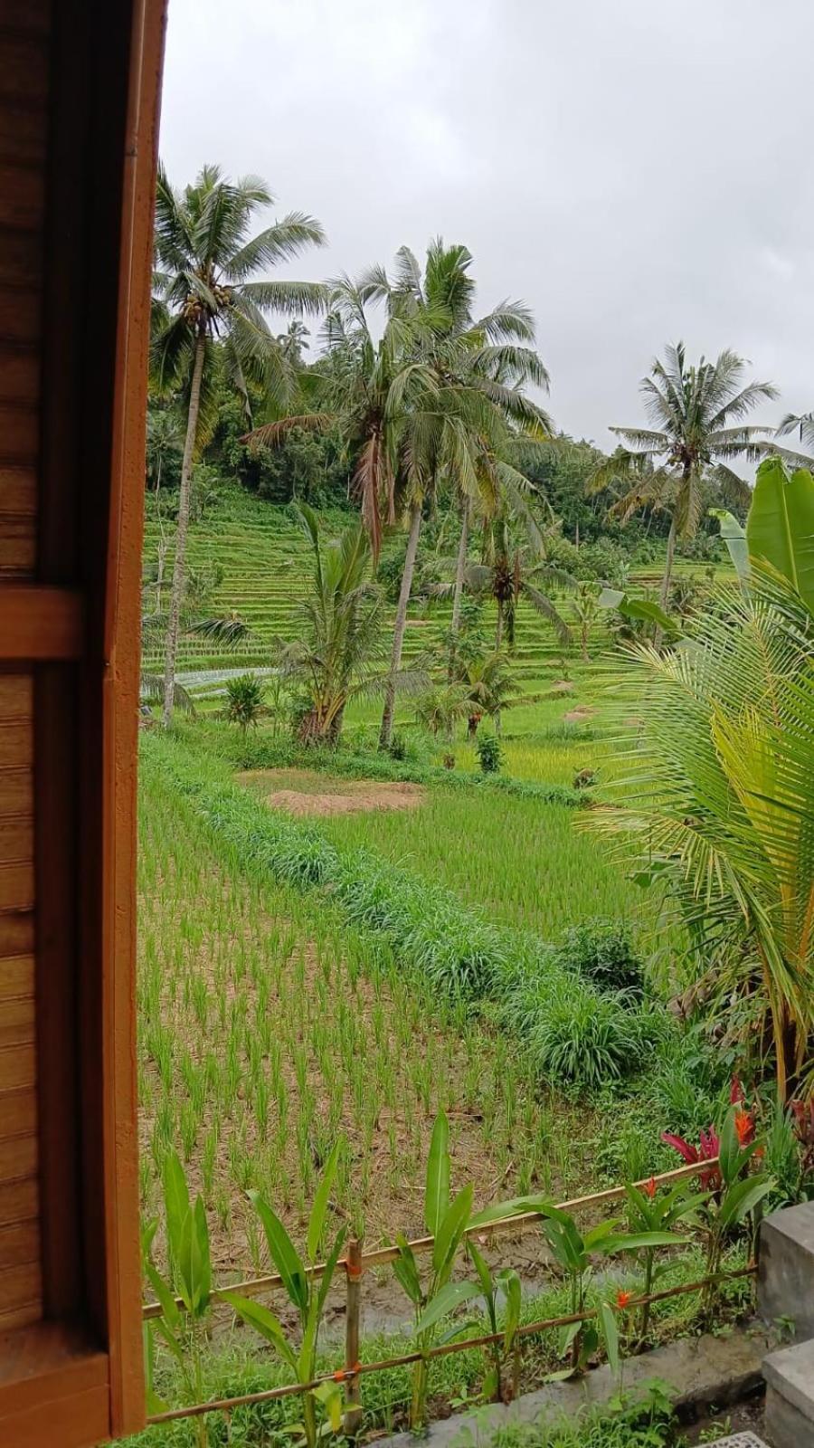 Lumbung Umaluah Villa Sidemen  Exterior photo